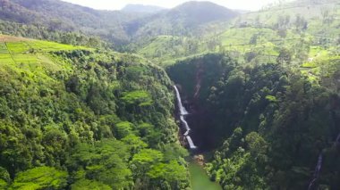 Moray Şelalesi 'nin hava aracı yeşil çayla tepelerin arasından göle akıyor. Sri Pada düşer. Maskeliya, Sri Lanka.