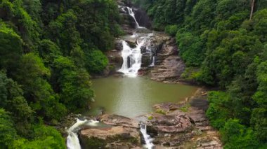 Yeşil bitki örtüsüyle çevrili tropikal bir ormanda orman şelalesi. Aberdeen Şelalesi, Sri Lanka.