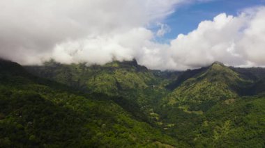 Sri Lanka 'da dağları ve ormanı olan tropik bir yer..