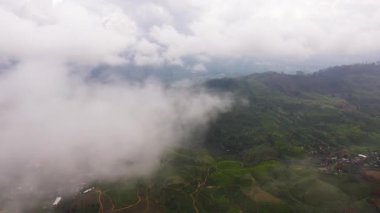 Bulutlar arasında çay evi manzarası. Sri Lanka. Yeşil çay tarlalarıyla manzara.