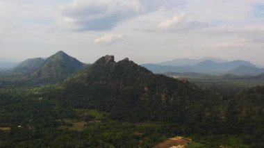 Sri Lanka 'da orman ve dağlar. Tropikal bitki örtüsü olan dağ yamaçları.