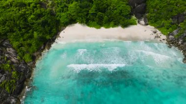 Yeşil tepeler ve mavi sularla çevrili Idyllic plajı. Seyşeller. Anse Du Riz plajı. Baie Ternay Deniz Ulusal Parkı.
