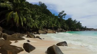 Yoğun palmiye ağaçları, kumlu sahile dağılmış büyük kayalar ve turkuaz suyla kaplı bir kıyı şeridi. Seyşeller, Mahe. Anse Niyet.