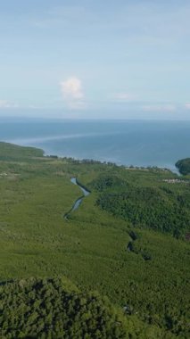 Borneo adasının, tropikal bitki örtüsünün ve ormanın en üst manzarası. Sabah, Malezya. Dikey video.