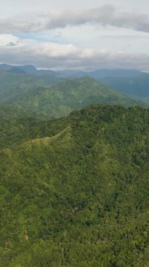Dağ sıraları ve dağ yamaçlarında yağmur ormanları. Sumatra, Endonezya. Dikey video.