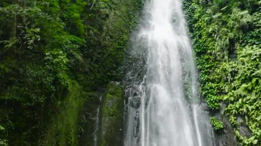 Ormandaki şelale. Ağır çekim. Yağmur ormanındaki Pulang-Tubig Şelalesi. Zenciler, Filipinler.