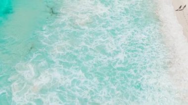 Turkuaz okyanus dalgaları, berrak su dalgalarıyla beyaz kumlu bir kıyıya yavaşça vuruyor. Seyşeller, La Digue.