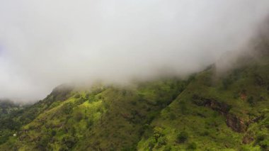 Sri Lanka 'da yağmur ormanı ve ormanı olan dağların insansız hava aracı.