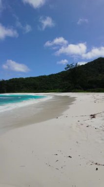 Yumuşak dalgaları olan sakin bir sahil, ormanlık bir yamaç ve güneşli bir günde mavi bir gökyüzü. Anse Cocos. Seyşeller, La Digue.