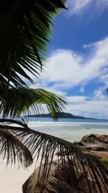 Palmiye yaprakları, turkuaz okyanus manzarasını granit kayalar ve uzak adalarla çerçeveler. Seyşeller, Praslin.