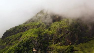 Yağmur ormanları ve ormanlarla kaplı dağ yamaçları. Sri Lanka.