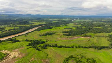 Nehir pirinç tarlaları ve kırsal alanlarda tarım arazileri arasında. Sri Lanka.