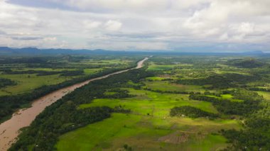 Nehrin insansız hava aracı pirinç tarlaları ve kırsaldaki tarım arazileri arasında. Sri Lanka.