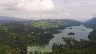 Dağlarda çay tarlalarıyla çevrili bir göl. Maskeliya, Castlereigh, Sri Lanka.