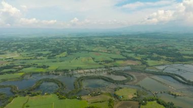 Pirinç tarlaları ve tarım arazileri arasındaki nehrin havadan görünüşü. Tarım arazisi. Hinigaran Nehri. Zenciler, Filipinler