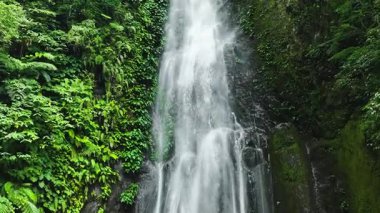 Ağır çekimde Orman Şelalesi. Pulang-Tubig Şelalesi. Zenciler, Filipinler.