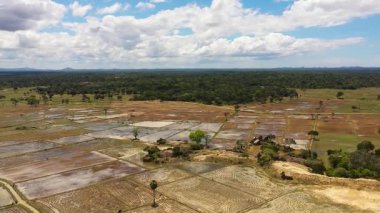 Ormanın ortasında tarımsal alanları olan kırsal alanların havadan görünüşü. Sri Lanka.