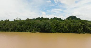 Nehir ve yağmur ormanlarının havadan görünüşü. Orman manzarası. Kinabatangan nehri. Borneo. Malezya.