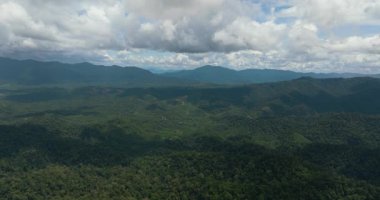 Yukarıdan ormanla kaplı dağ zirveleri. Borneo, Malezya.