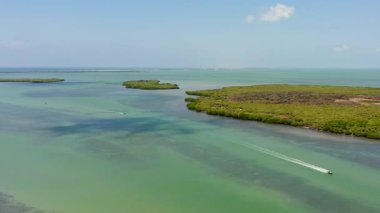 Mavi denizde tropikal bitki örtüsü olan adaların insansız hava aracı. Sri Lanka 'da deniz manzarası.