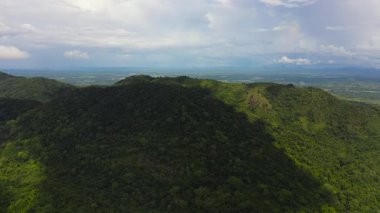 Dağ manzarası: Dağlık yamaçlar yağmur ormanları ve orman manzarasıyla kaplı. Sri Lanka.