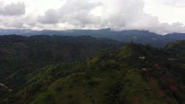 Tropical green forest in the mountains and jungle. Sri Lanka.