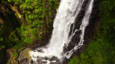 Waterfall in the jungle. Devon Falls in the rainforest. Sri Lanka.