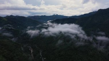 Karanlık çöktüğünde bulutlarla ve sislerle kaplı ormanlı dağların tepesi..