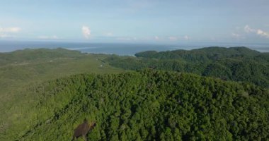 Borneo adasının, tropikal bitki örtüsünün ve ormanın havadan görünüşü. Sabah, Malezya.