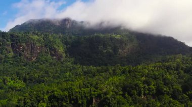 Mountains covered rainforest, trees and blue sky with clouds. Sri Lanka.