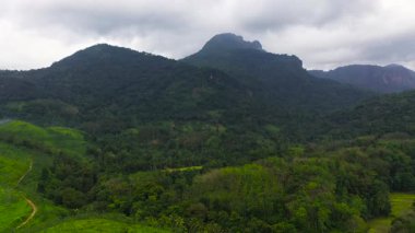Sri Lanka 'nın dağlık bir bölgesinde yağmur ormanı ve tarım arazisi olan dağların havadan görünüşü.