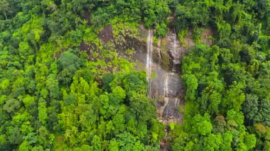 Tropikal bitki örtüsü arasında dağlardaki Şelale manzarası. Sri Lanka.