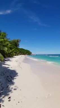 Turkuaz okyanus dalgalarının yanında uzanan geniş beyaz kumsal, palmiye ağaçları ve uzak adalar. Seyşeller, La Digue.