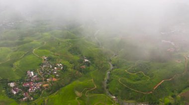 Dağların tepesinde bulutların arasından çay tarlası. Çay arazisi, Sri Lanka.