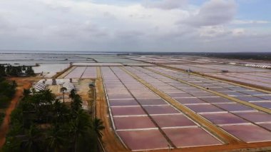 Çiftliğin tuz tarlaları ve deniz suyuyla dolu havuzlar. Sri Lanka 'da tuz üretimi.