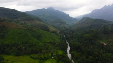 Mountain slopes with rainforest and a mountain valley with farmland. Sri Lanka