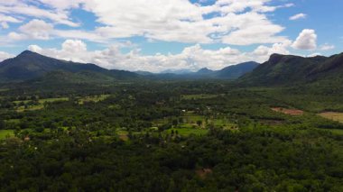 Tarım arazisi ve yeşil ormanlı dağların havadan görünüşü..