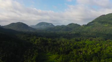 Aerial view of Mountains covered rainforest, trees and blue sky with clouds. Sri Lanka.