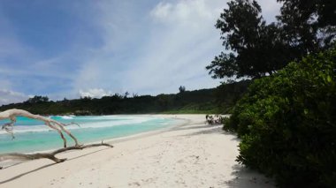 Dalgalar, yemyeşil bitki örtüsüyle çevrili beyaz kumsalda yavaşça kıyıya vurur. Seyşeller, La Digue. Anse Komandoları.