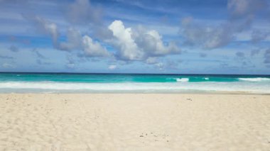 Palmiye yapraklarının silueti turkuaz deniz ve parlak gökyüzüne karşı tezat oluşturuyor. Seyşeller, La Digue.