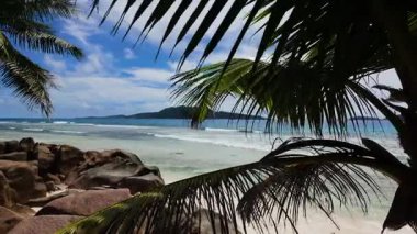 Palmiye yapraklarının gölgelediği beyaz kumlu bir plaja serpilmiş büyük granit kayalar. Anse Patates. Seyşeller, La Digue.