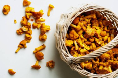 Hasır sepetteki taze chanterelle mantarlarından yakın plan çekimler. Parlak, altın sarısı tonlar, kırsal, doğal estetik. Açık arkaplan üzerindeki düz görünüm bileşimini içerir.