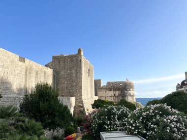 Hırvatistan 'ın Dubrovnik kentindeki Adriyatik Denizi' ne bakan tarihi taş kale. Parlak mavi gökyüzü, yemyeşil yemyeşil ve kayalık kıyı şeridi ortaçağ duvarları ve kuleleri çevreledi. Ünlü tarihi mekan.