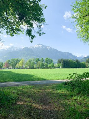 Berrak mavi bir gökyüzünün altındaki ağaç dalları tarafından çerçevelenmiş yemyeşil çayır manzaralı dağ manzarası. Huzurlu ve huzurlu doğa manzarası, rahatlama ve açık hava aktiviteleri için mükemmel..