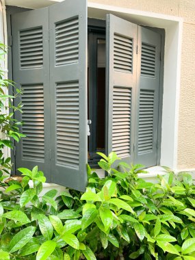 Ön planda canlı yeşillikler olan yeşil ahşap kepenk penceresini aç. Pencere panellerine yansıyan yumuşak ışık, rahat, sakin bir açık hava ortamı yaratıyor..