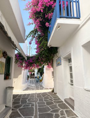 Paros 'ta güzel bir sokak, Naoussa' da beyazlatılmış binalar, mor bir bougainvillea patlaması ve temiz bir gökyüzünün altında kaldırım taşı sokaklar. Huzurlu atmosfer keşfi davet ediyor..