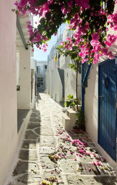 Paros 'ta güzel bir sokak, Naoussa' da beyazlatılmış binalar, mor bir bougainvillea patlaması ve temiz bir gökyüzünün altında kaldırım taşı sokaklar. Huzurlu atmosfer keşfi davet ediyor..