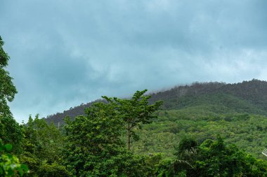 Verdant dağları yemyeşil ağaçlarla bezenmiş, dingin mavi ve canlı turkuaz bulutlarla boyanmış bir gökyüzünün altında.