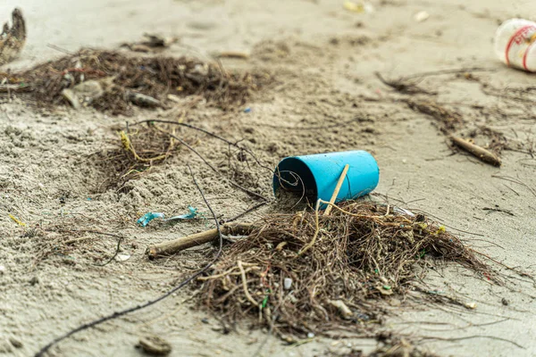 Kıyılarda birikmiş plastik atık çevresel kirlilik sorununu vurguluyor.