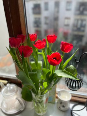 the variety of bright spring flowers pleases the eye